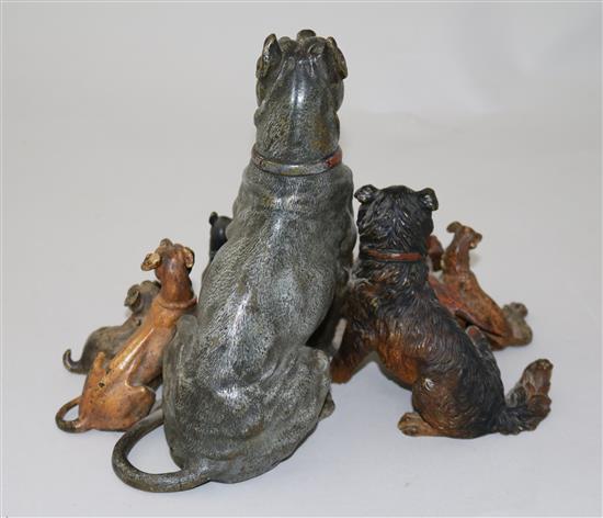 A fine late 19th century Austrian cold painted bronze group of eight dogs, W.8.5in. H.7in.